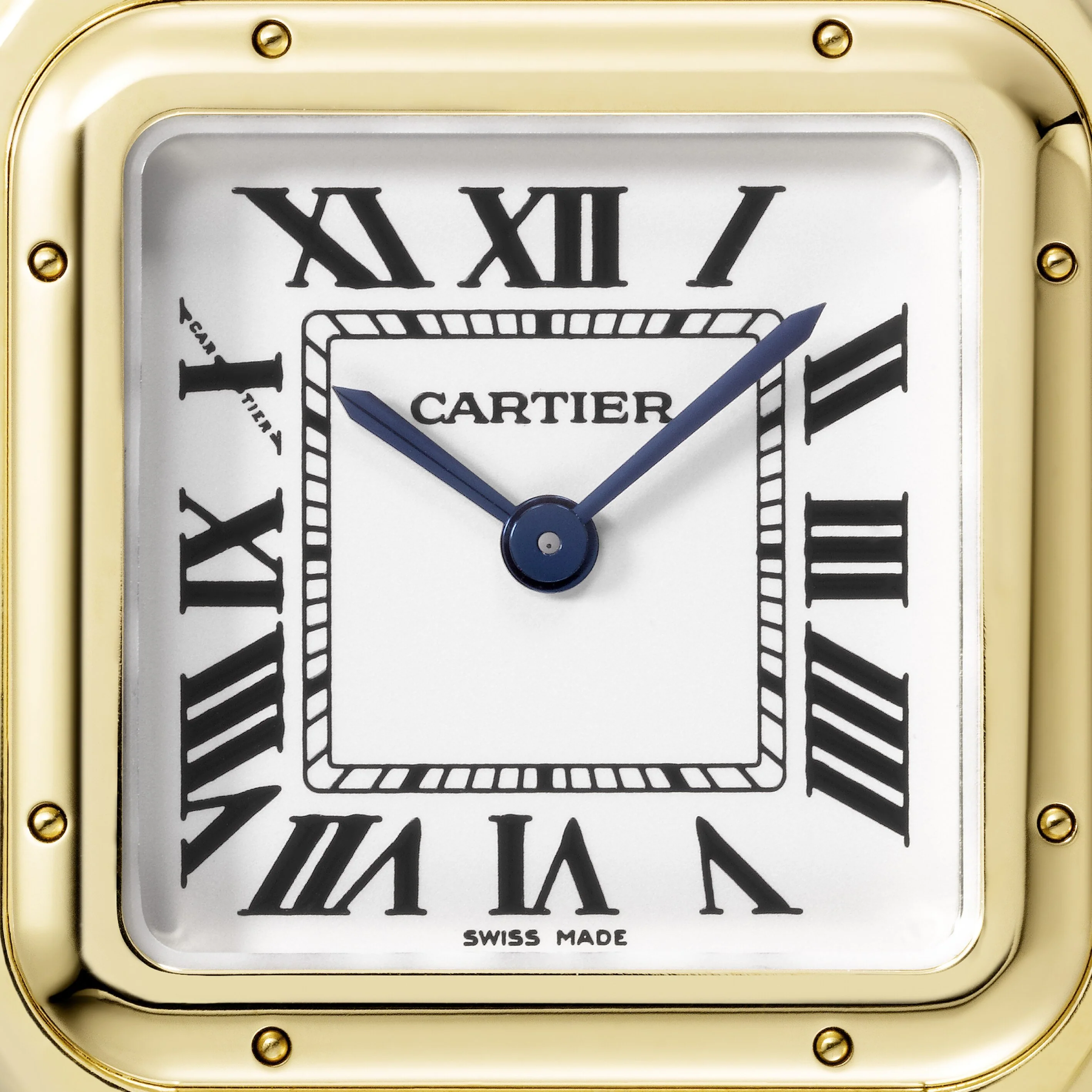 Panthère de Cartier - Image 6