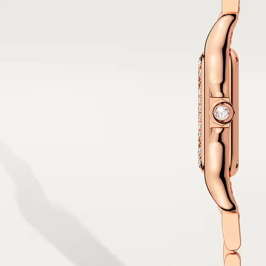 Panthère de Cartier - Image 4