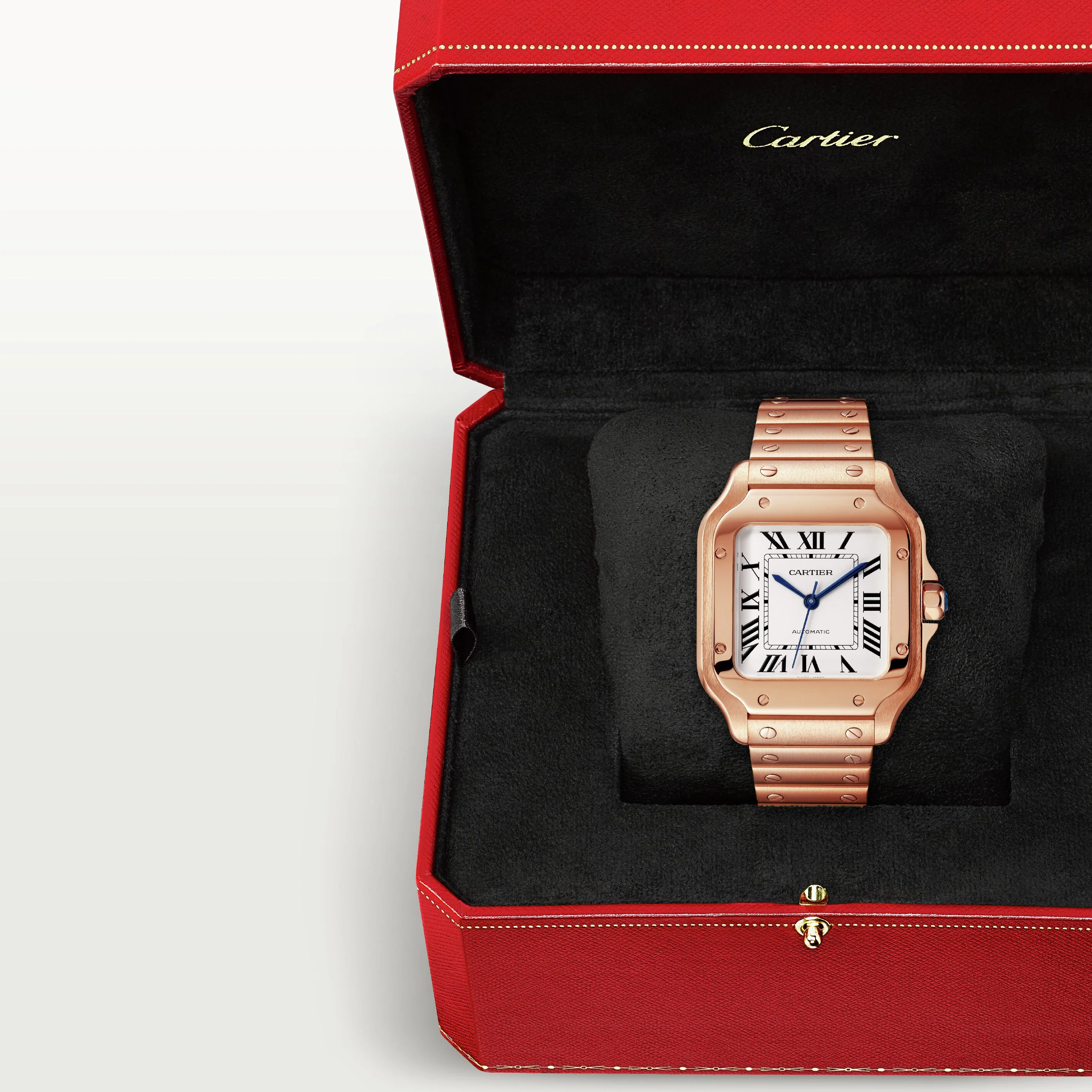 Santos de Cartier - Image 7