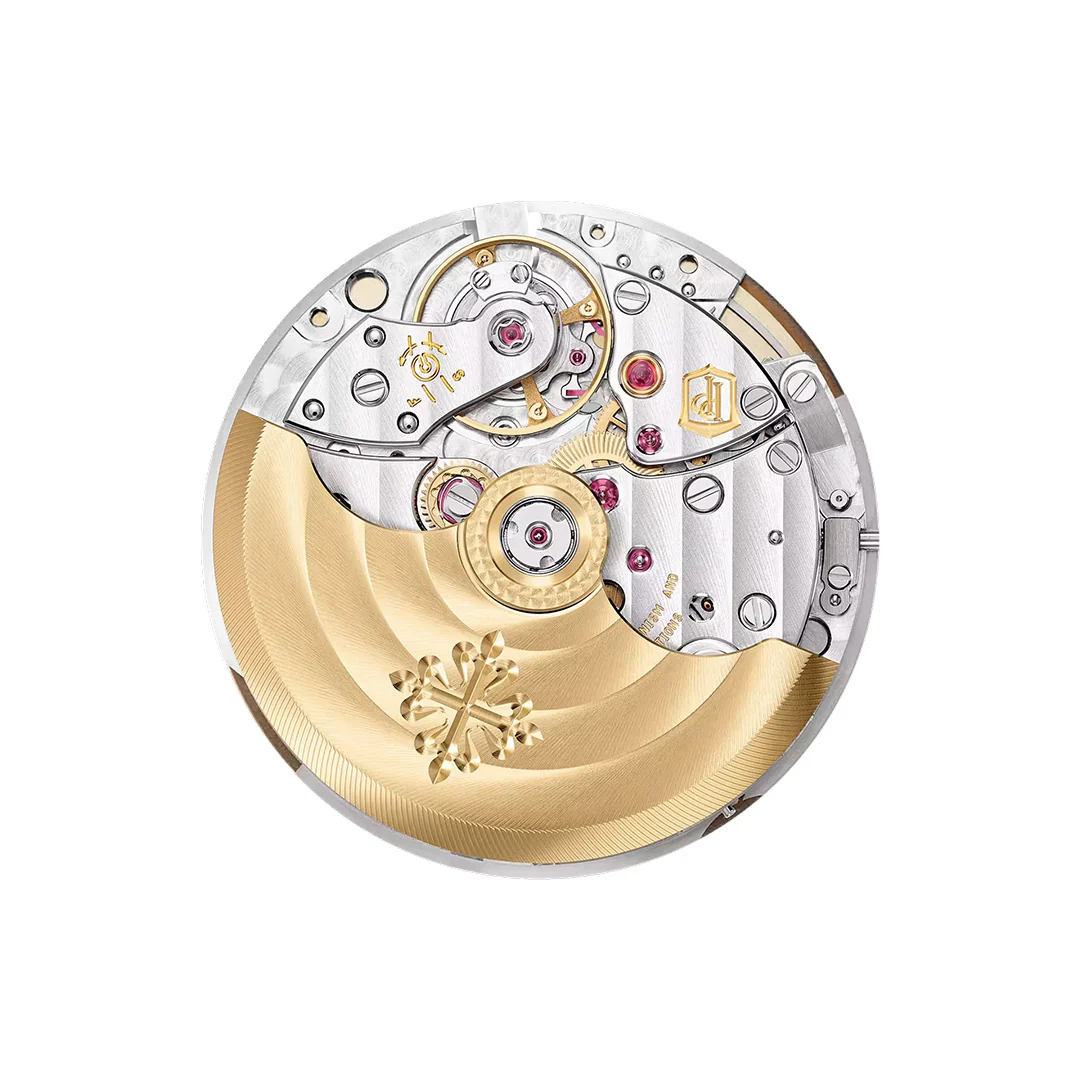 Nautilus - Image 5