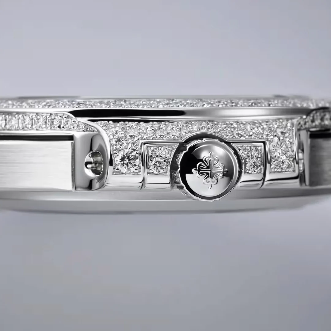 Nautilus - Image 5