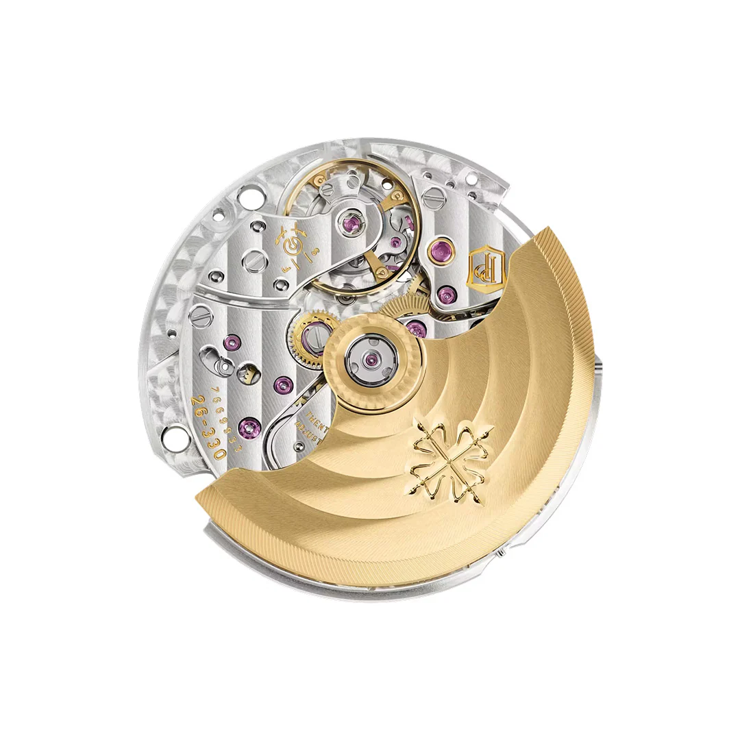 Nautilus - Image 7